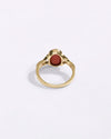 Genuine Moonga Coral in India Buy from Myra Gems 