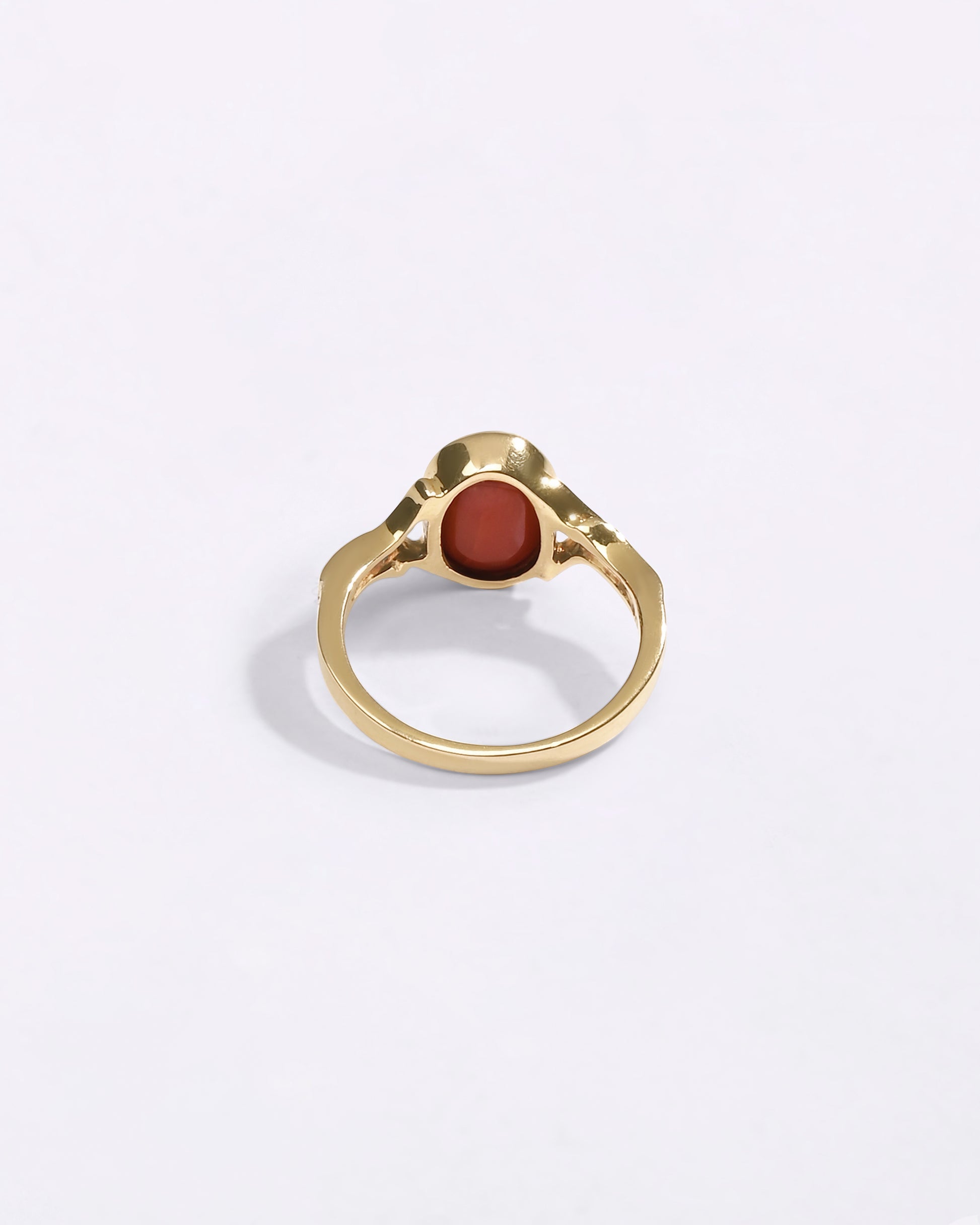 Genuine Moonga Coral in India Buy from Myra Gems 