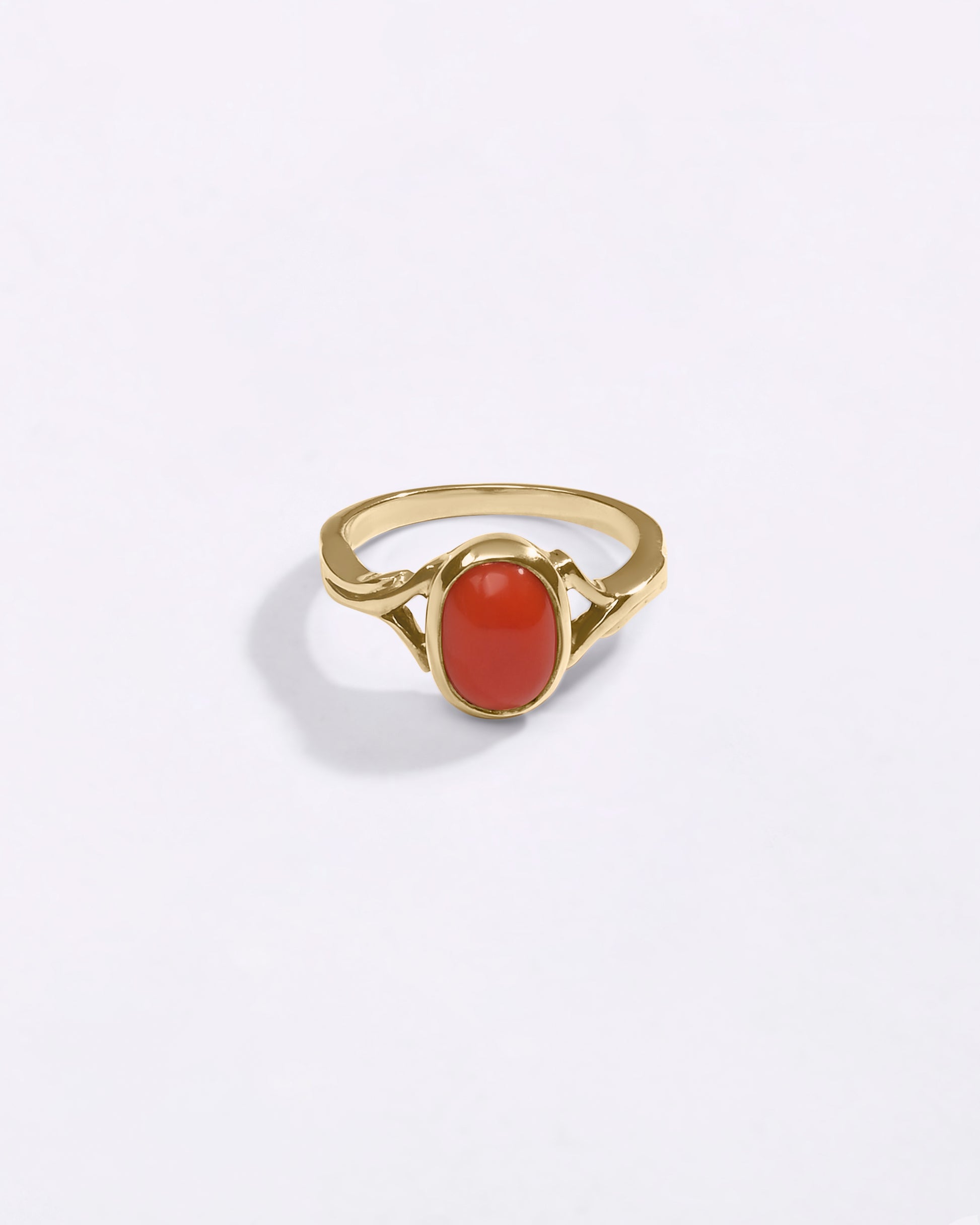 Genuine Moonga Coral in India Buy from Myra Gems 