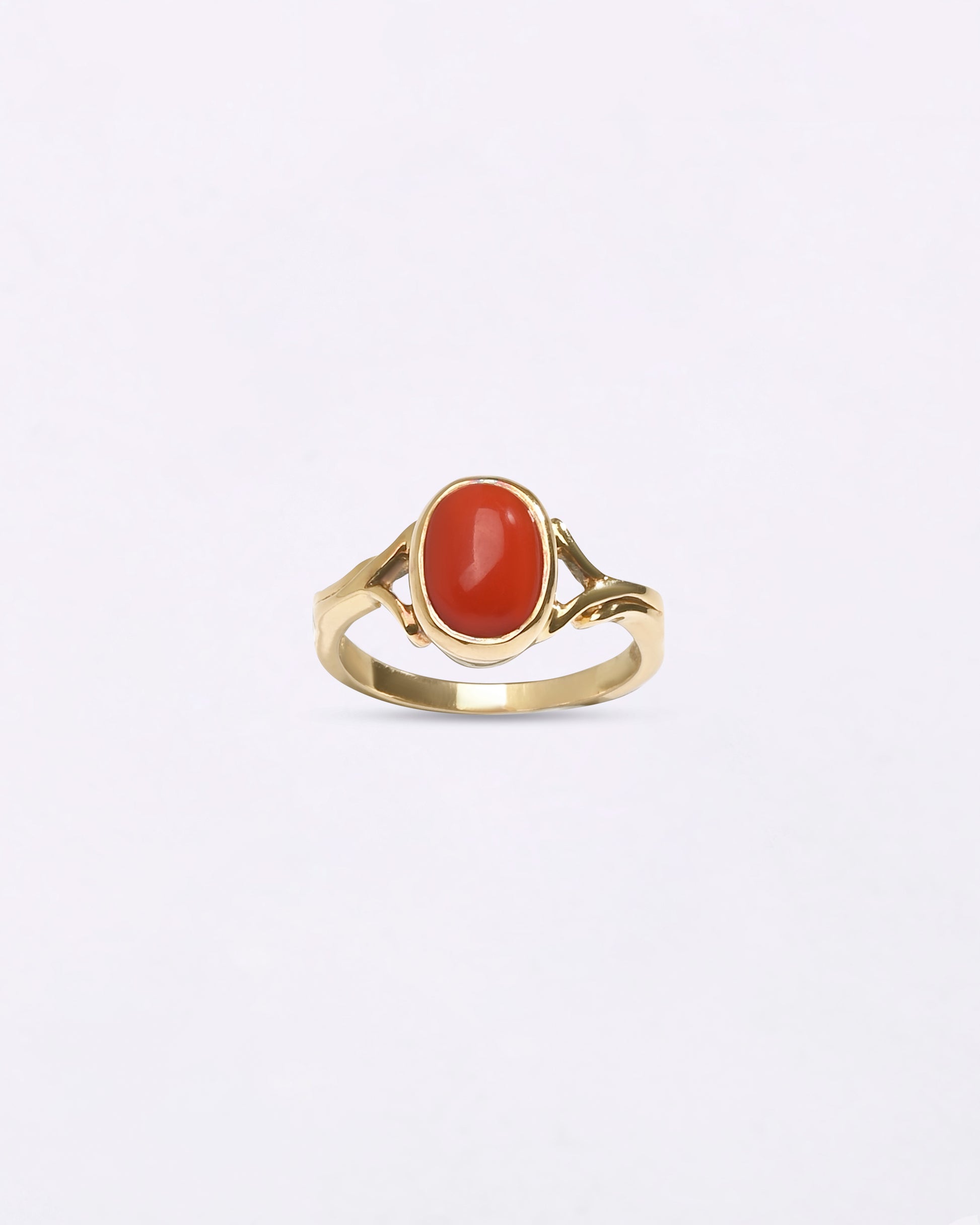 Genuine Moonga Coral in India Buy from Myra Gems 