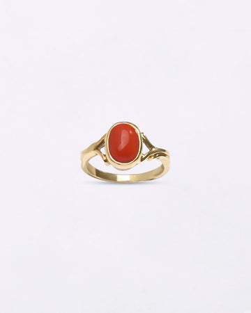 Genuine Moonga Coral in India Buy from Myra Gems 